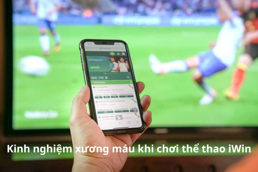 Một vài lời khuyên kinh nghiệm xương máu khi chơi cá cược tại iWin