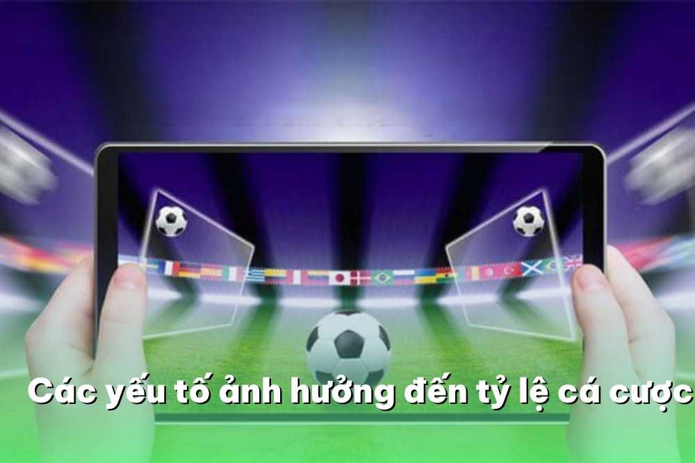 Các yếu tố ảnh hưởng đến tỷ lệ cá cược