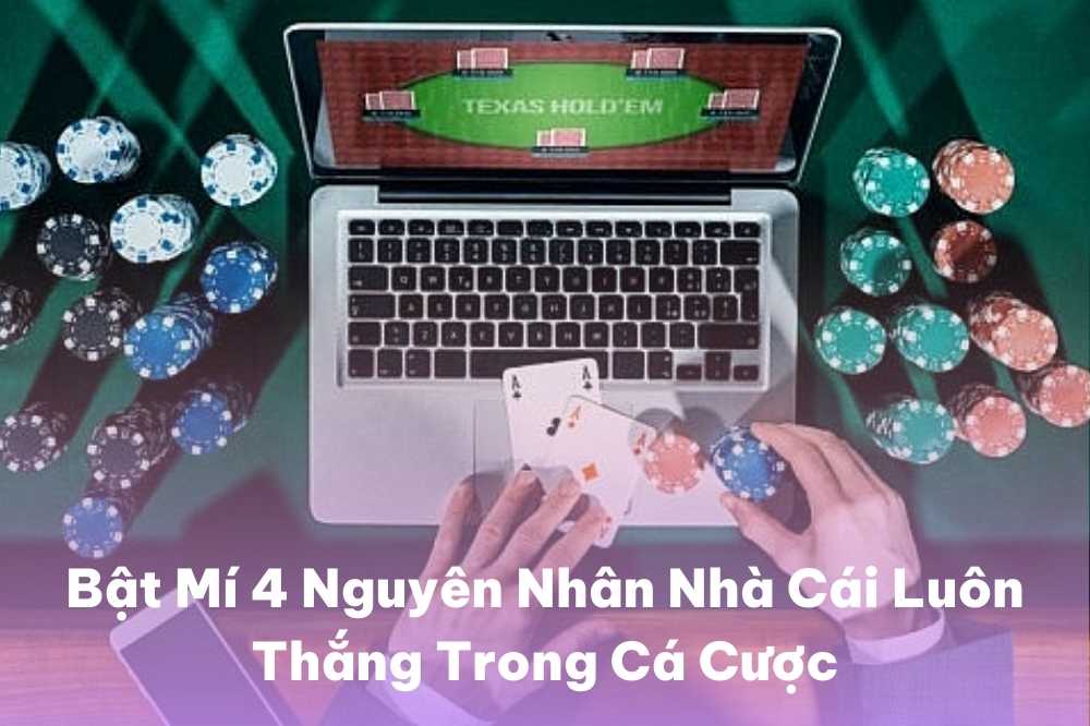 Bật Mí 4 Nguyên Nhân Nhà Cái Luôn Thắng