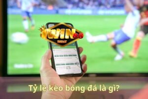 Tỷ lệ kèo bóng đá và cách cá cược hiệu quả cho mùa EURO24